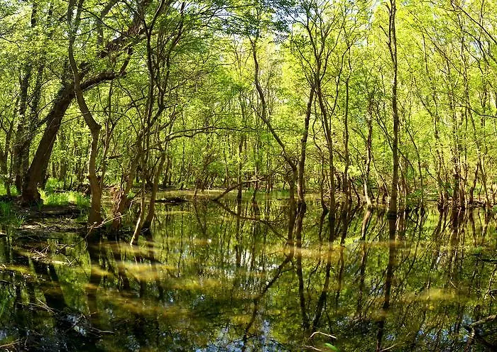 Хотел Slavuna 4*