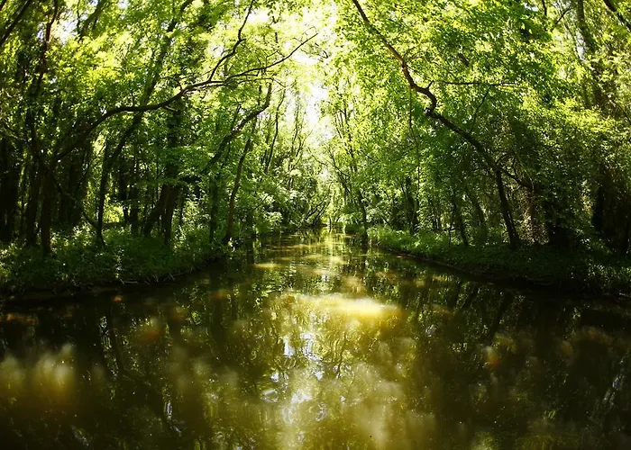 Хотел Slavuna 4*